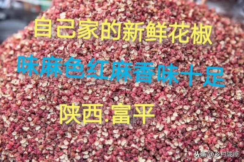 陕西富平大红袍花椒（齐椒梅花椒）丶