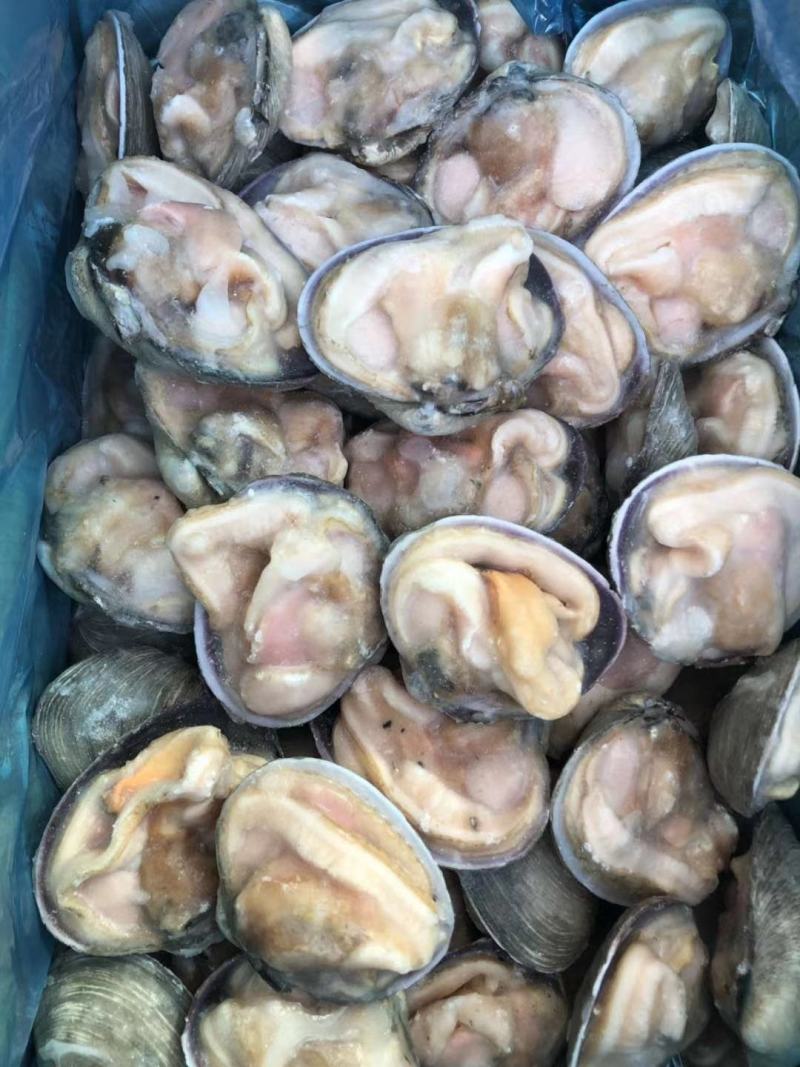 冷冻半壳天鹅蛋大蛤蜊贝类新鲜海产品烧烤海鲜水产蒜蓉半壳贝