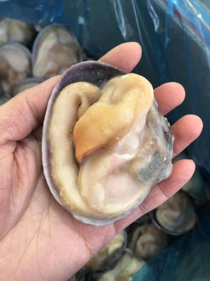 冷冻半壳天鹅蛋大蛤蜊贝类新鲜海产品烧烤海鲜水产蒜蓉半壳贝