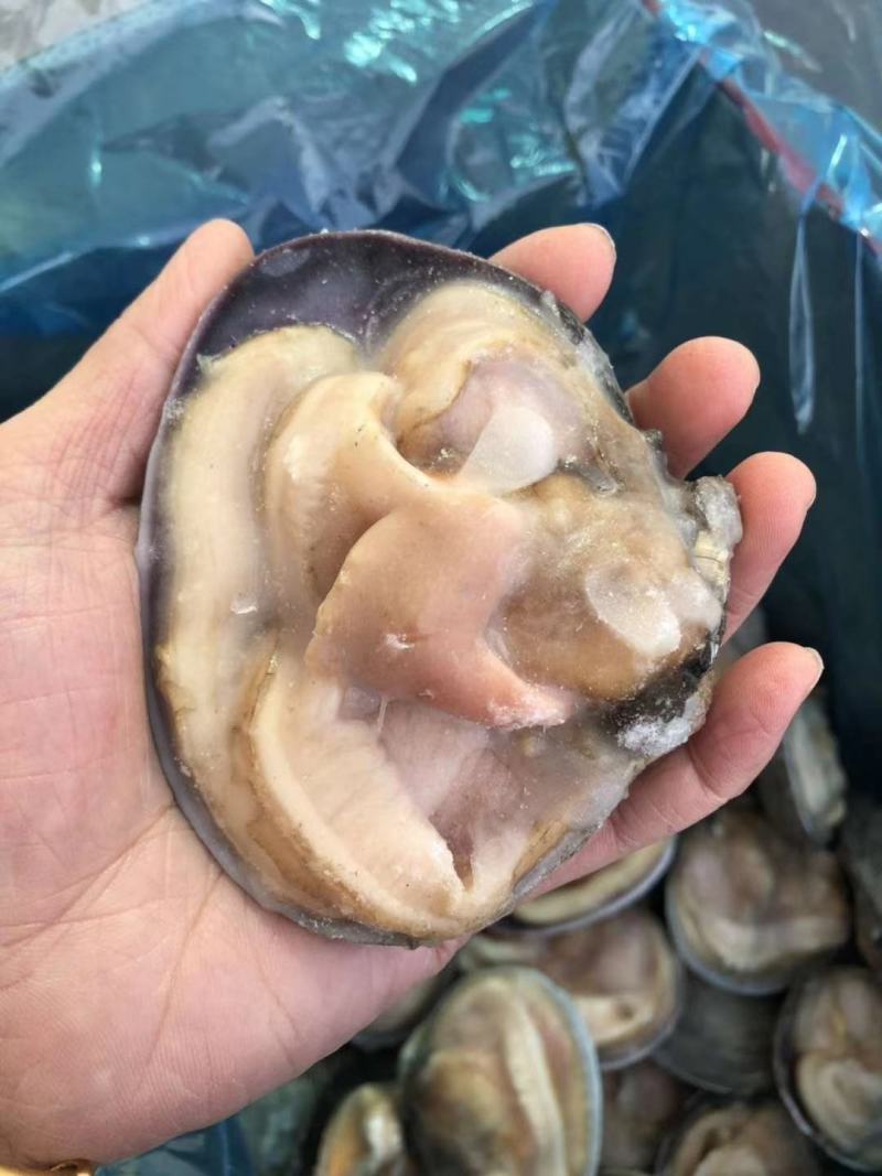 冷冻半壳天鹅蛋大蛤蜊贝类新鲜海产品烧烤海鲜水产蒜蓉半壳贝