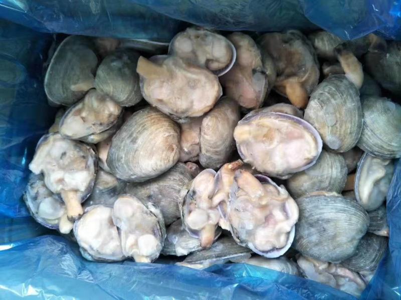 冷冻半壳天鹅蛋大蛤蜊贝类新鲜海产品烧烤海鲜水产蒜蓉半壳贝