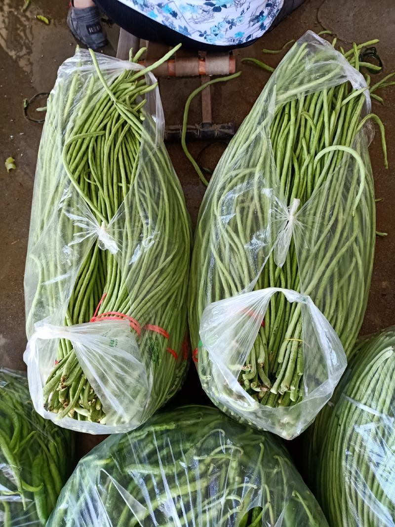 长豆角，翠绿色，条直，无虫眼