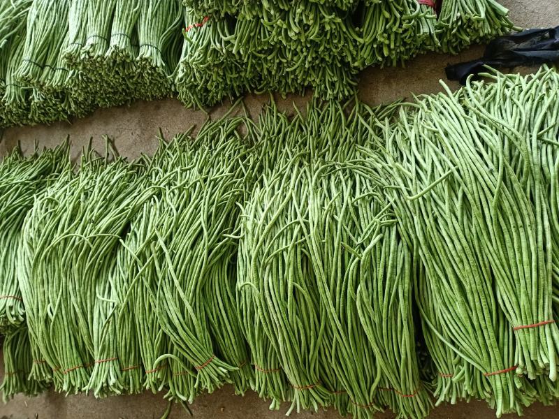 长豆角，翠绿色，条直，无虫眼