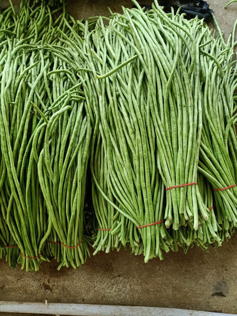 长豆角，翠绿色，条直，无虫眼