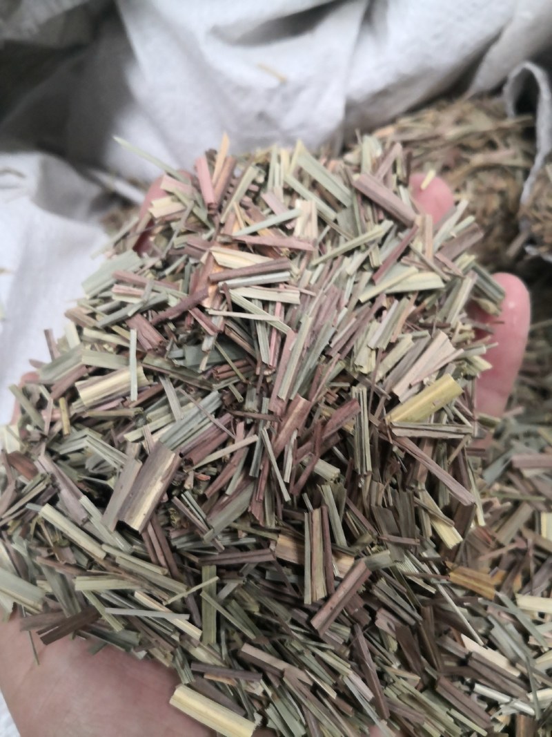 批发优质柠檬草，香茅草