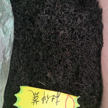 批发各种规格杜仲茶，杜仲皮
