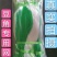 （豆角专用爬藤网）长豆角扁豆不老豆四季豆豌豆植物攀爬种植