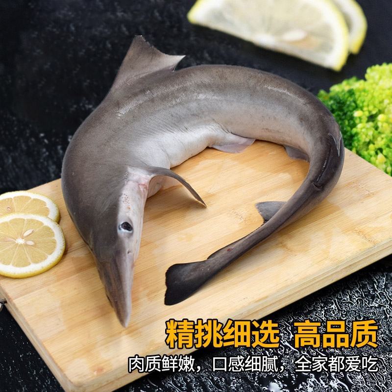 北海小鲨鱼冷冻餐厅特色菜食用小白鲨新鲜海鲜海鱼批发