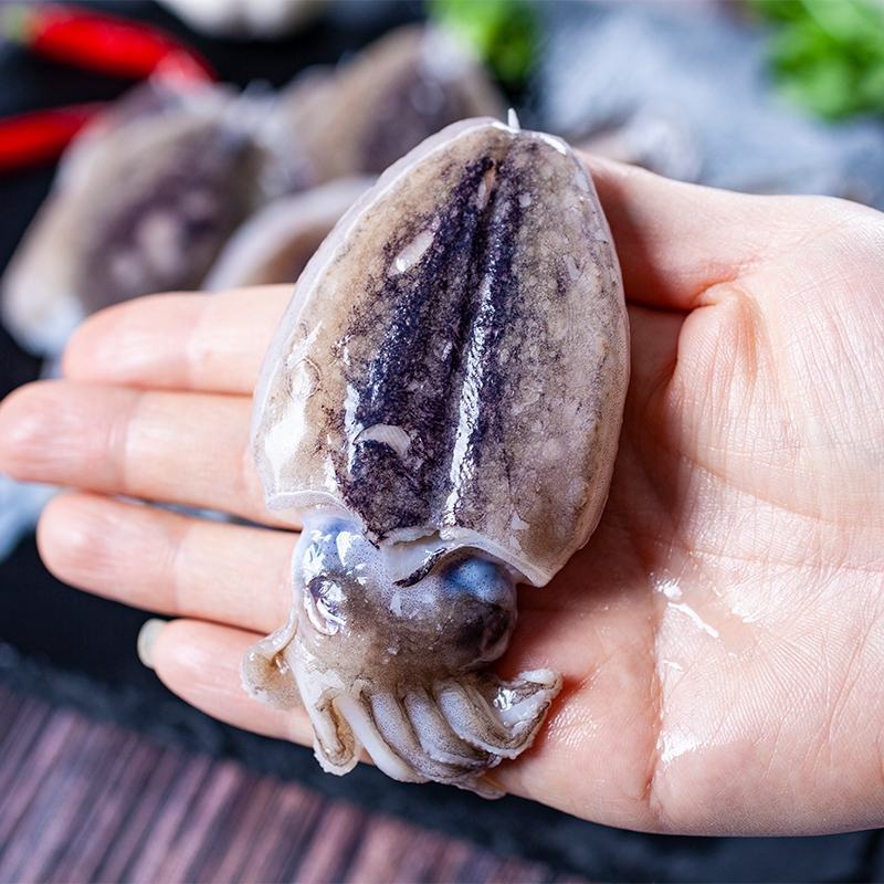 新鲜北海小墨鱼墨鱼仔冰鲜鱿鱼乌贼批发北海大墨鱼