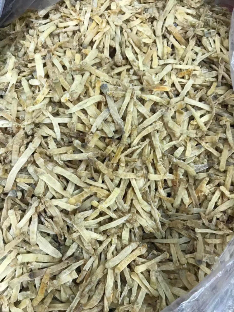 北海沙虫干足干1斤起批