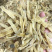 北海沙虫干足干1斤起批