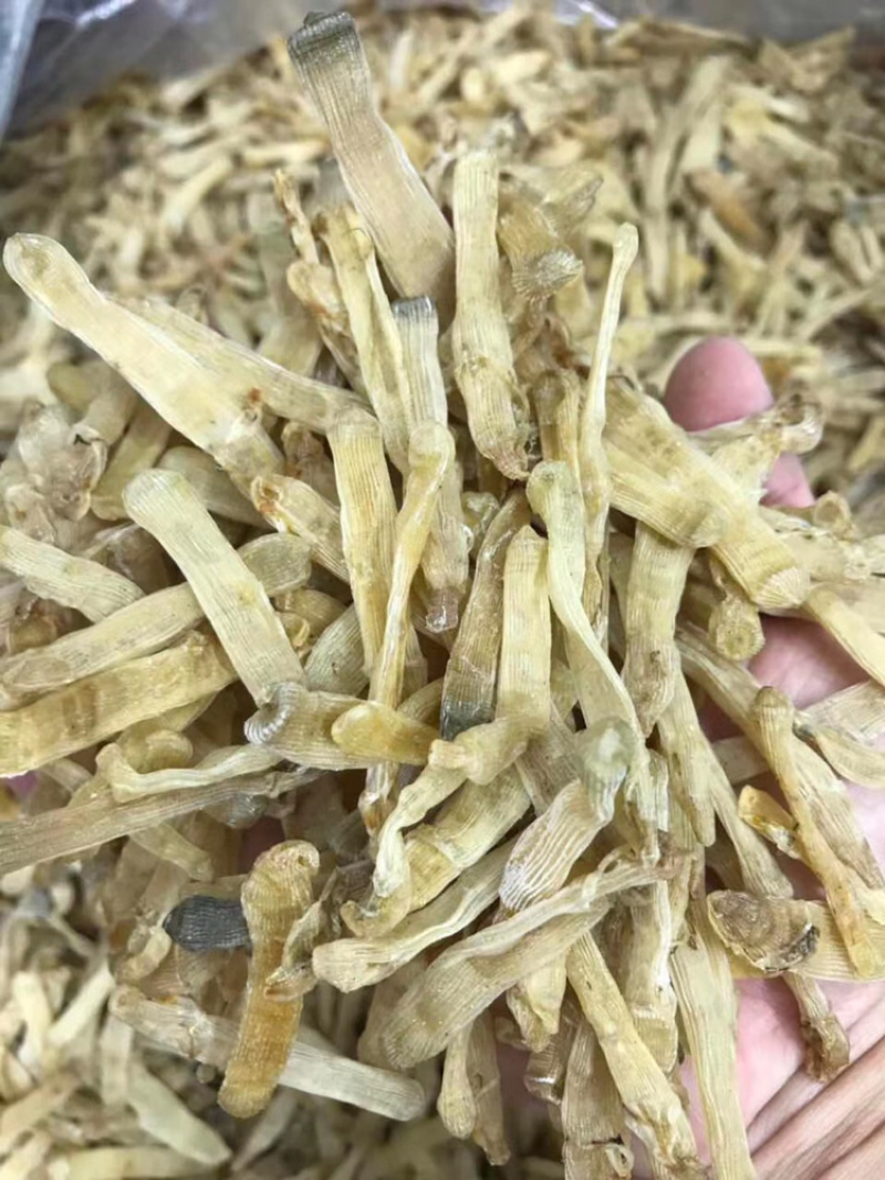 北海沙虫干足干1斤起批