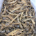 沙虫干进口大沙虫漂亮货