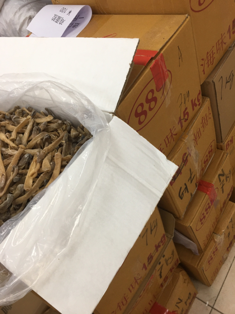 沙虫干进口大沙虫漂亮货