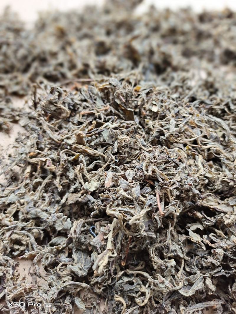 老鹰茶叶，特级白茶，红茶批发零售都可以，