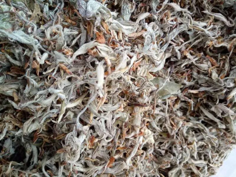老鹰茶叶，特级白茶，红茶批发零售都可以，