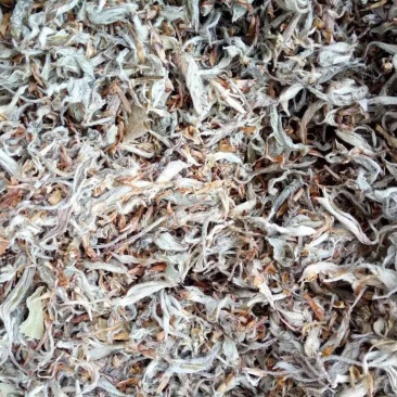 老鹰茶叶，特级白茶，红茶批发零售都可以，