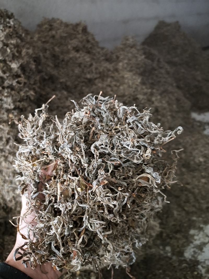 老鹰茶叶，特级白茶，红茶批发零售都可以，
