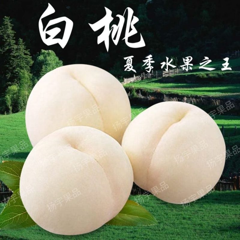 安徽安庆太湖大白桃白蟠桃