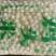 芡实米！鸡头米！鲜芡实米！