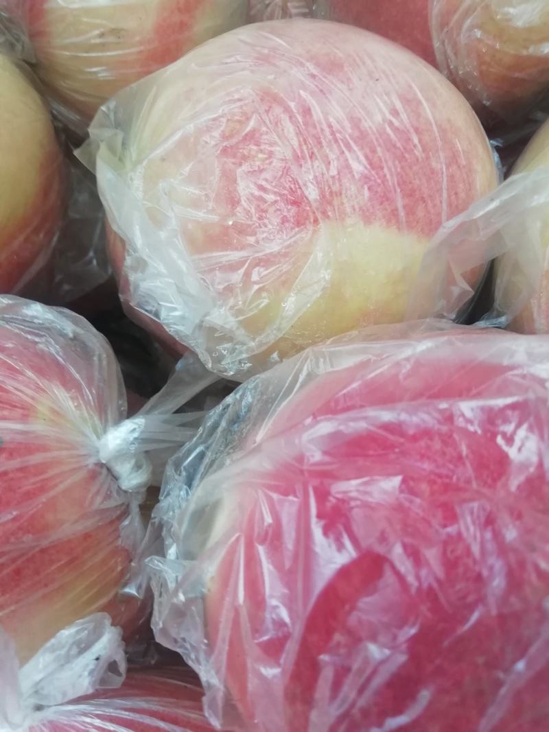 阿母白，秦王大量上市中。