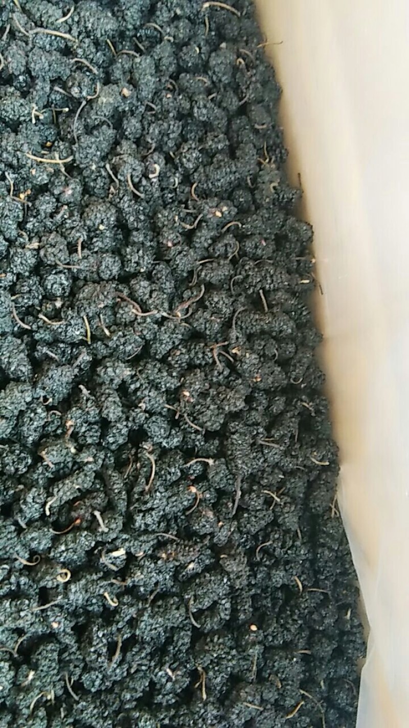 （推荐）河北黑珍珠桑椹干自产自销，自然晾晒，热卖中！欢迎选购