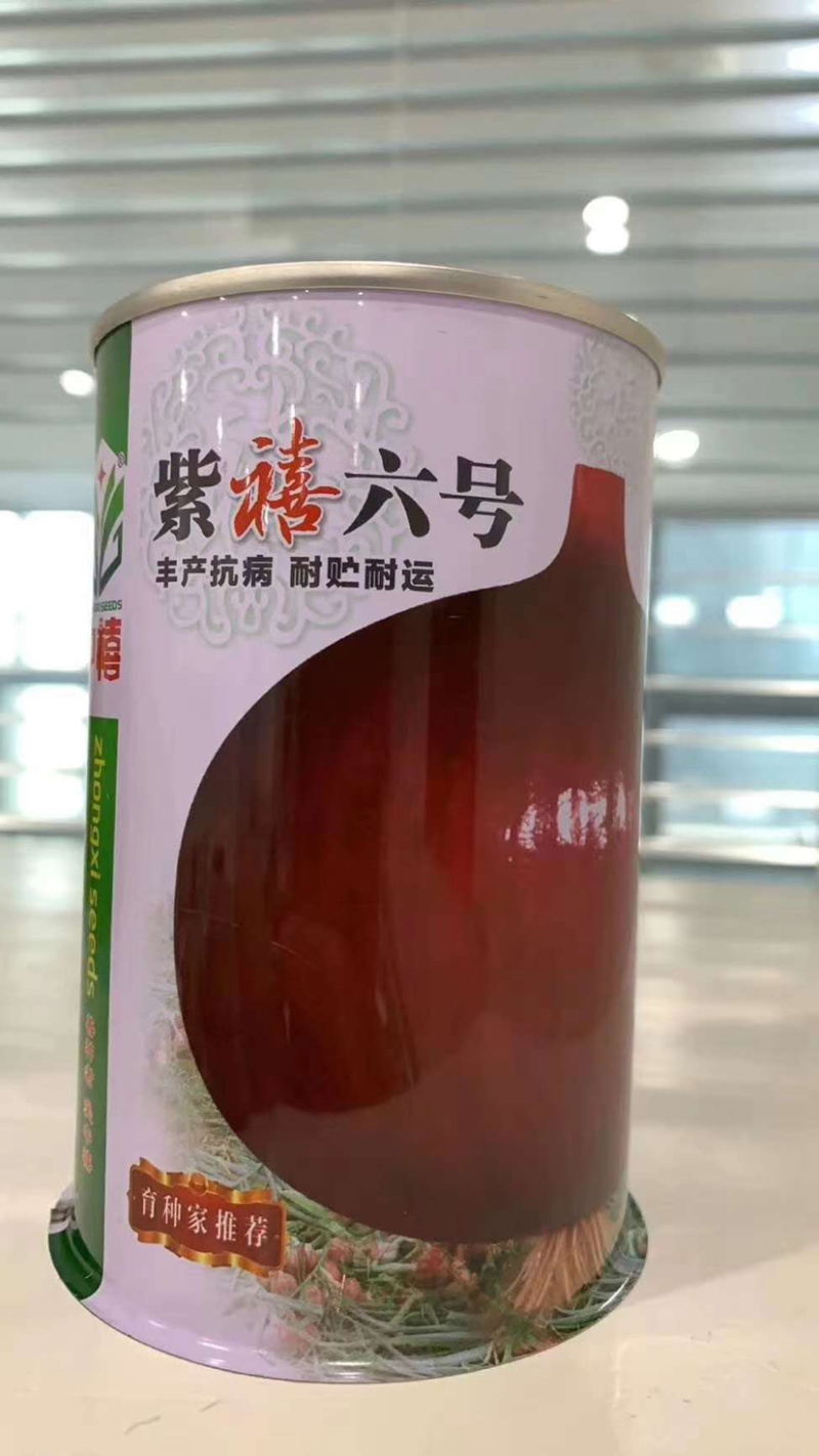 （精品推荐）丰产抗病耐贮耐运紫红皮洋葱种子
