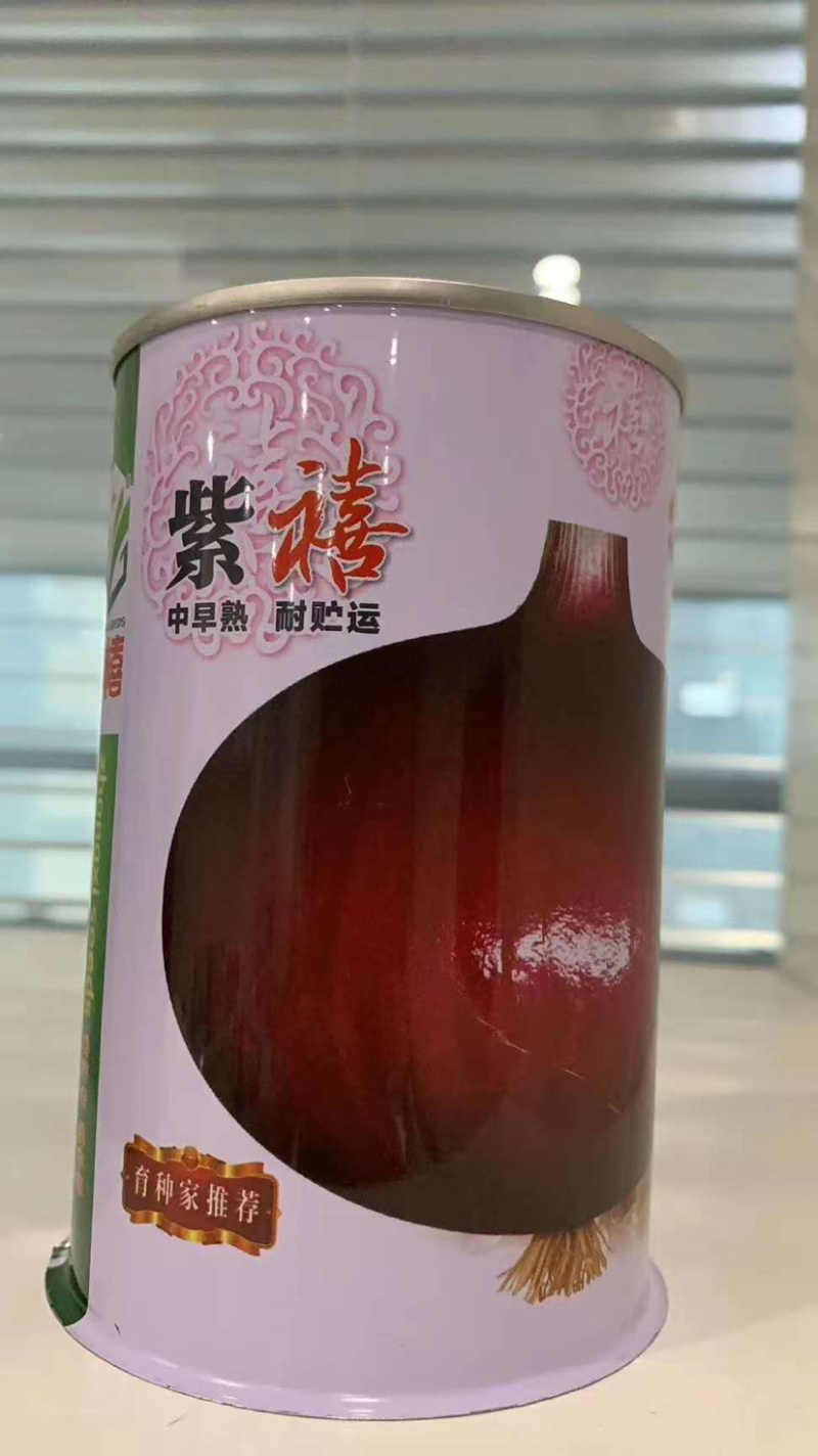 （精品推荐）丰产抗病耐贮耐运紫红皮洋葱种子