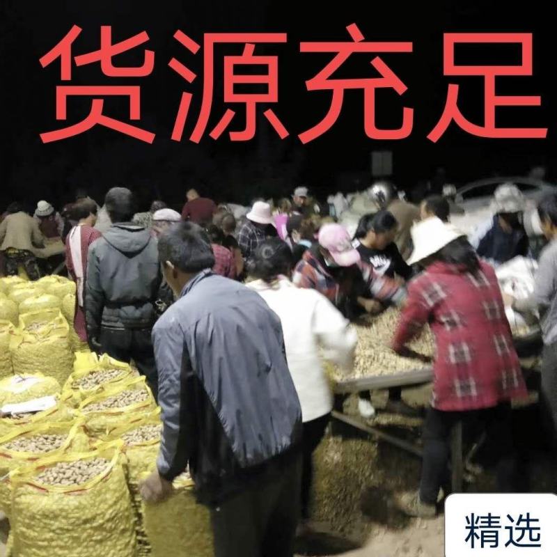 【热卖中】海花花生，过筛手捡，精品果，带壳鲜货，颗粒饱满