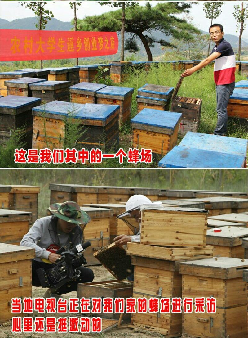 蜂蜜农家合作社自产5斤装山花蜜