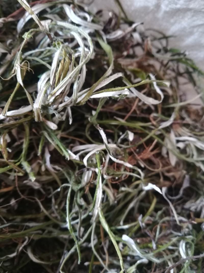 天青地白，小叶鼠龄，地北草/翻叶白，，，，，，