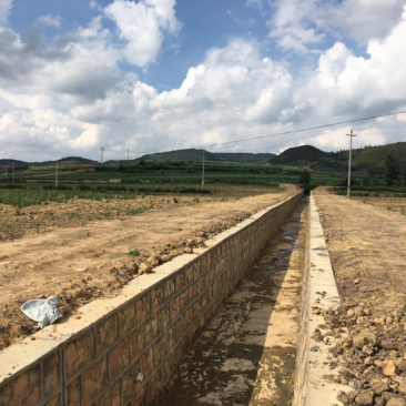 200亩蔬菜用地出租，可分租，立地条件好