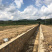 200亩蔬菜用地出租，可分租，立地条件好