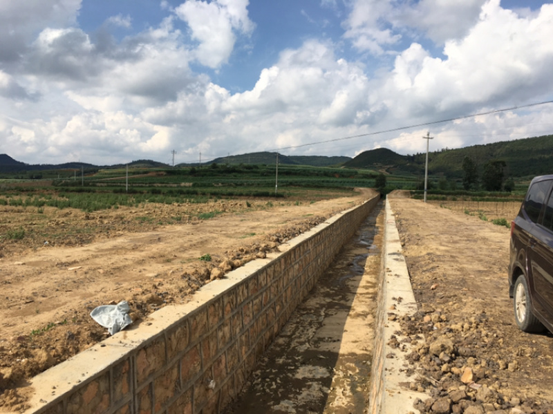 200亩蔬菜用地出租，可分租，立地条件好
