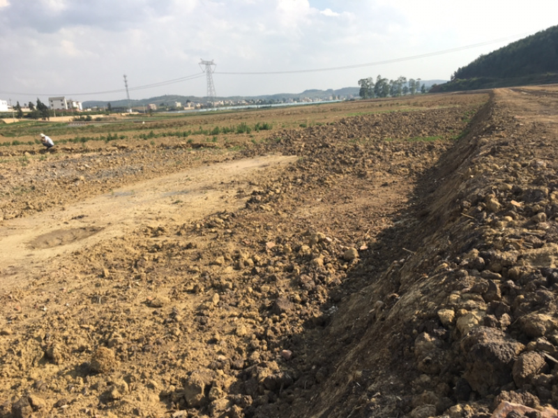 200亩蔬菜用地出租，可分租，立地条件好