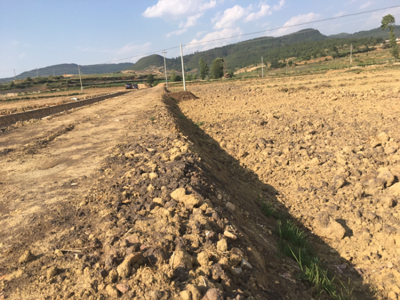 200亩蔬菜用地出租，可分租，立地条件好
