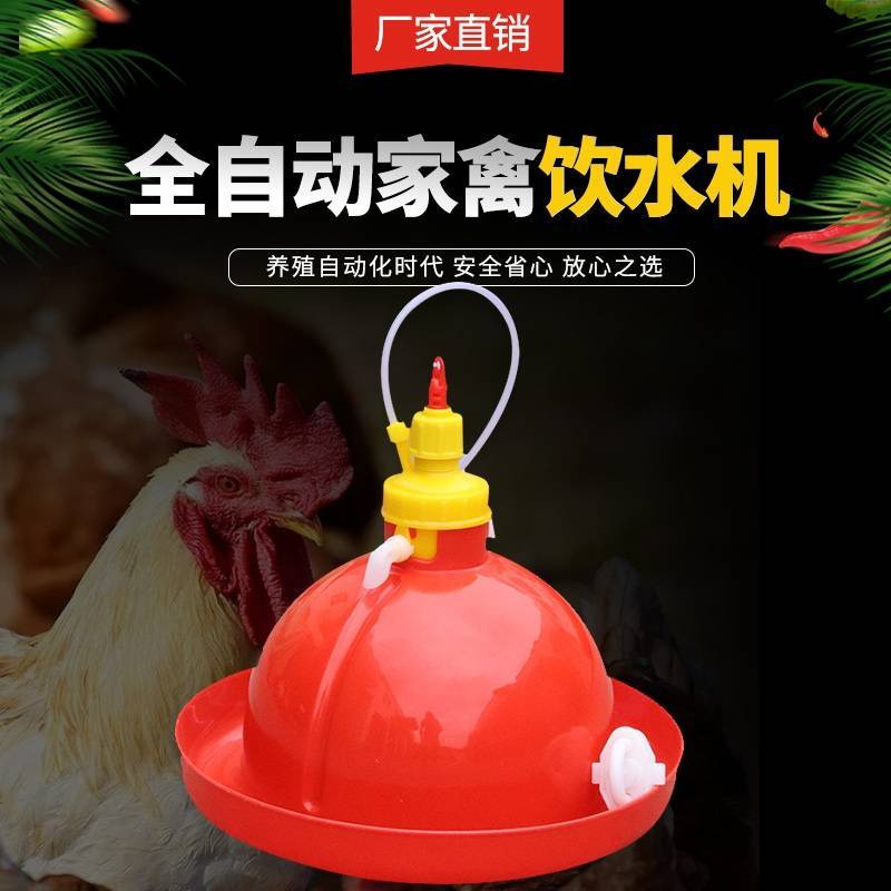 鸡鸭食槽水槽自动家禽饮水器厂家直销
