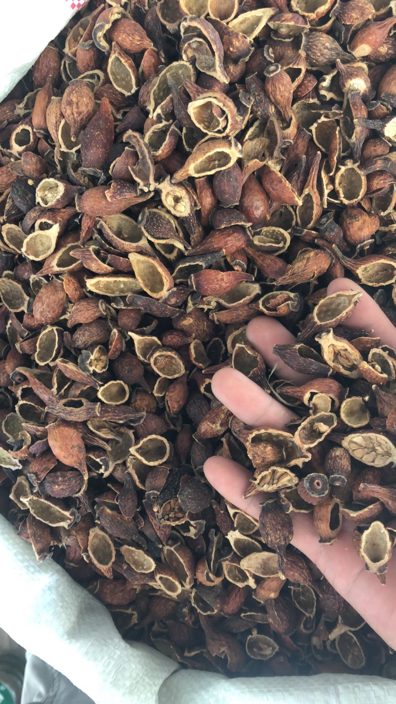 金樱肉对开好货金樱肉甜度可以