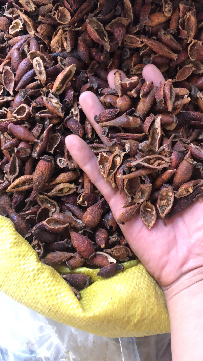 金樱肉对开好货金樱肉甜度可以