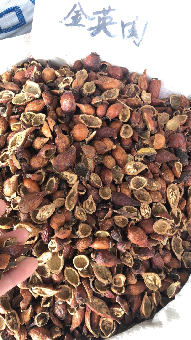 金樱肉对开好货金樱肉甜度可以