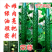 黄瓜种子黛丽全雌油亮青瓜种籽节节有瓜绿肉抗病高产