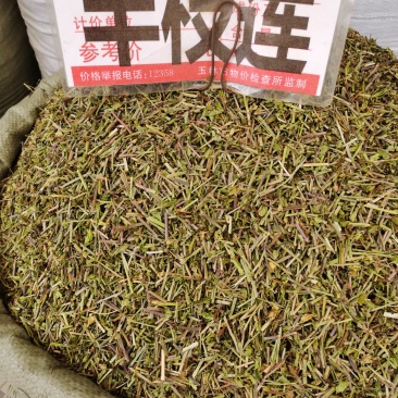 半枝莲新货颜色青货源充足