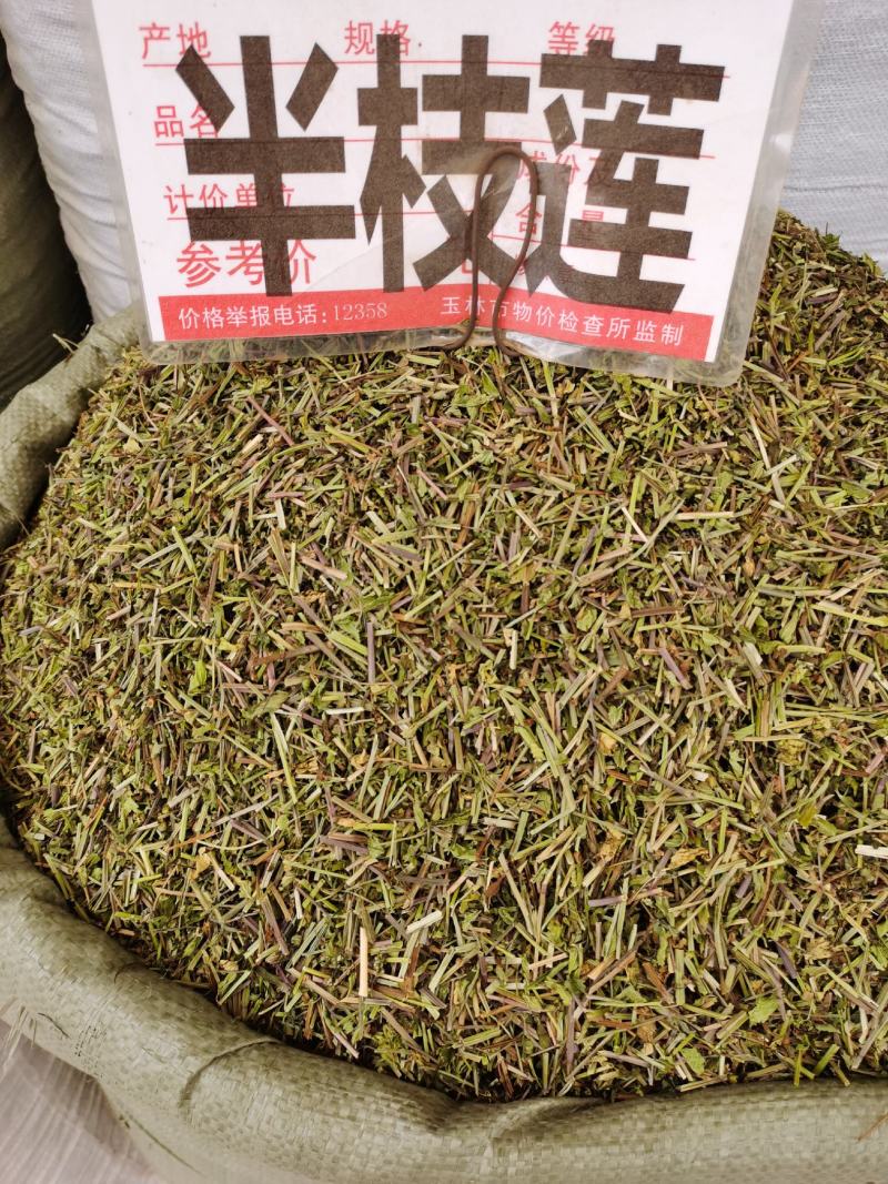 半枝莲新货颜色青货源充足