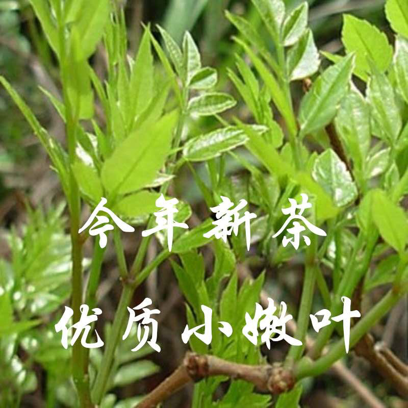 藤茶，藤茶藤茶，藤藤茶，藤茶藤茶，藤茶