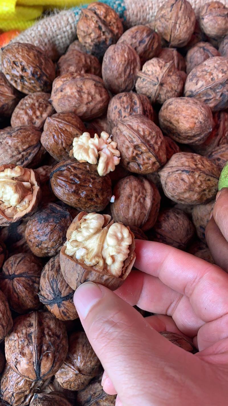 云南新鲜核桃青皮核桃带皮核桃