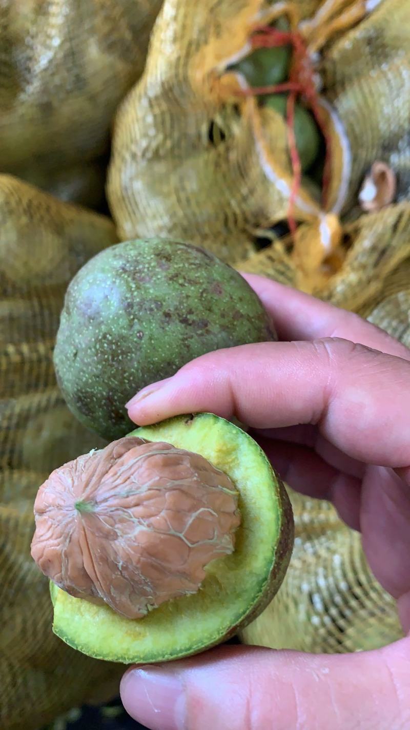 云南新鲜核桃青皮核桃带皮核桃