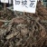 四块瓦一公斤起售，量大优惠。。。。