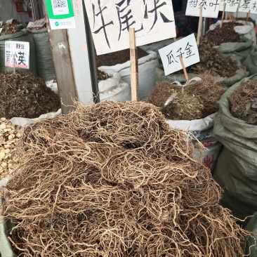 牛尾菜产地直销，量大优惠2020年新货