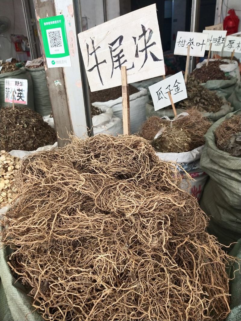 牛尾菜产地直销，量大优惠2020年新货