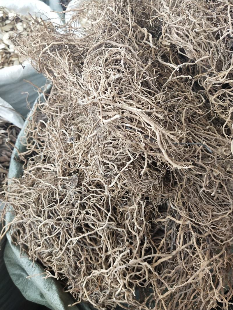 牛尾菜产地直销，量大优惠2020年新货